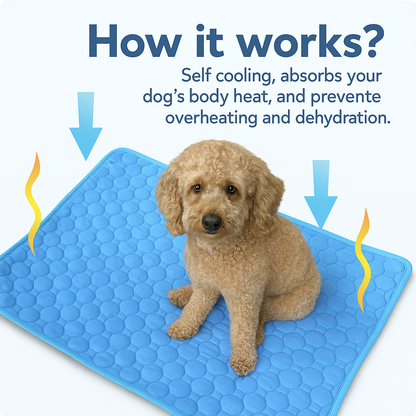 ChillaPaws ThermoCool™