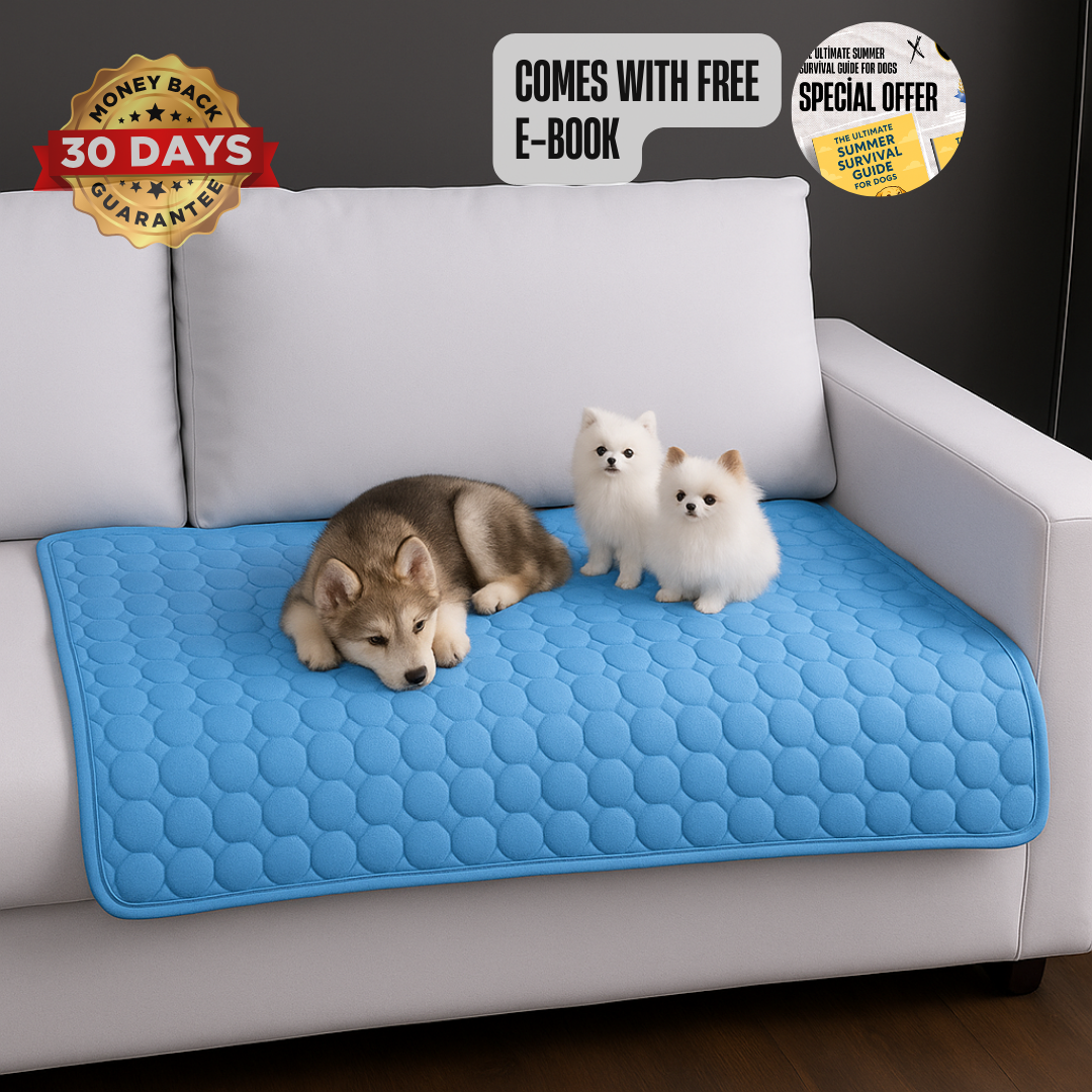 ChillaPaws ThermoCool™